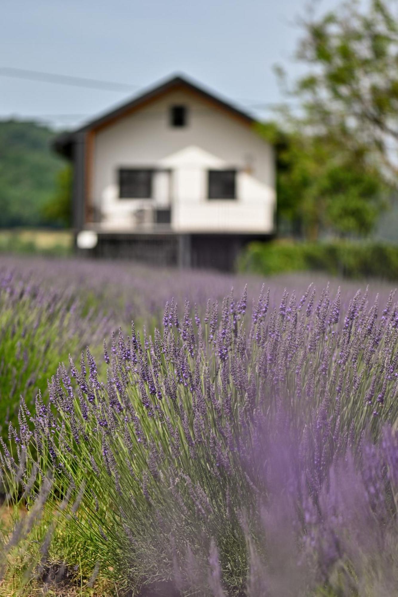 Vacation Home - Nest Kalnik Экстерьер фото